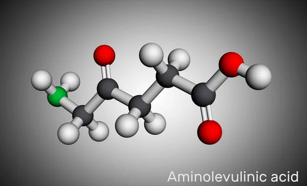 Ácido Aminolevulínico Dala Ala 5Ala Molécula Aminoácido Proteinogénico Endógeno Modelo —  Fotos de Stock