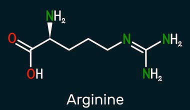 Arginine, Arg, L-Arginine, R temel amino asit molekülü, proteinlerin biyosentezinde kullanılır. Koyu mavi arka planda iskelet kimyasal formül. Görüntü