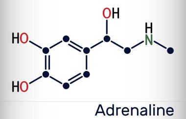 Adrenalin, epinefrin molekülü. Bu bir hormon, nörotransmiter ve ilaç. İskelet kimyasal formülü. Vektör illüstrasyonu
