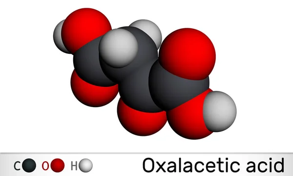 氧乙酸 氧乙酸 Oaa 氧乙酸分子 它是草甘膦酸 代谢物中间体 分子模型 3D渲染 3D插图 — 图库照片