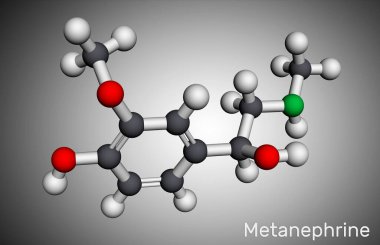 Metanefrin molekülü. Epinefrin, adrenalin ve feokromositom için biyoişaret. Moleküler model. 3 boyutlu görüntüleme. 3B illüstrasyon