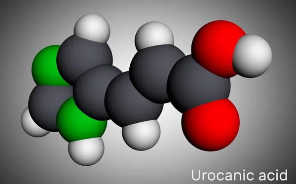 Molekula kyseliny močové. Je meziproduktem v metabolismu histidinu. Molekulární model. 3D vykreslování — Stock fotografie