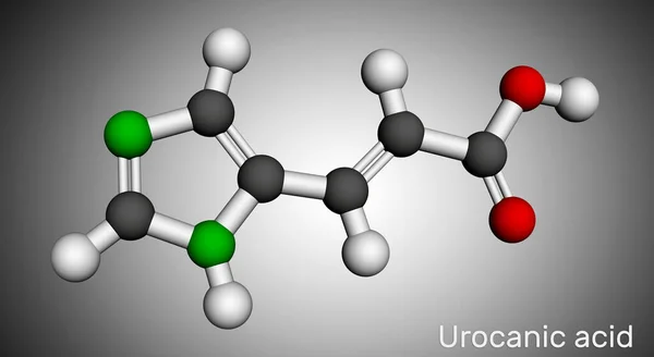 Molekuła kwasu urokanowego. Jest produktem pośrednim w metabolizmie histydyny. Model molekularny. Renderowanie 3D — Zdjęcie stockowe