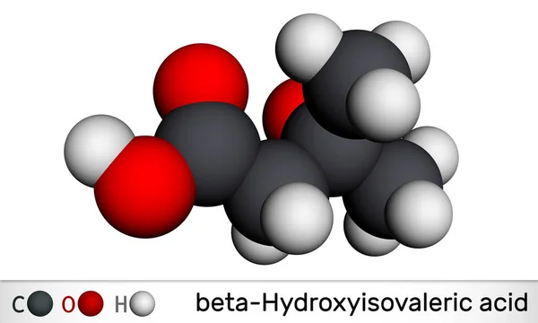 ヒドロキシ メチルブチル酸 Hmb ヒドロキシイソバリル酸分子 これは ビオチン欠乏症 ロイシン代謝物の指標です 分子モデル 3Dレンダリング イラスト — ストック写真