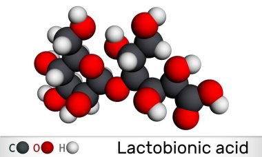 Laktobiyonik asit, laktobiyonik molekül. Disakkarit, şeker asidi, gıda katkı maddesi E399. Moleküler model. 3 boyutlu görüntüleme. 3B illüstrasyon