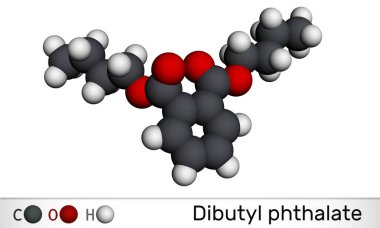 Dibütil ftalat, DBP molekülü. Bu ftalat ester, diester. Çevresel kirletici, teratojenik etken, plastikçi. Moleküler model. 3 boyutlu görüntüleme. 3B illüstrasyon