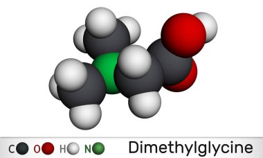 Dimetilglisin, DMG, N, N-dimetilglisin molekülü. Amino asit glisininin türevi. Moleküler model. 3 boyutlu görüntüleme. 3B illüstrasyon