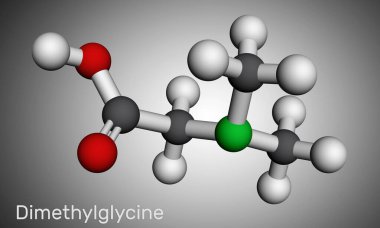 Dimetilglisin, DMG, N, N-dimetilglisin molekülü. Amino asit glisininin türevi. Moleküler model. 3 boyutlu görüntüleme. 3B illüstrasyon