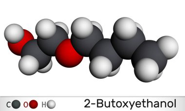 2-Butoxetthanol, butoxetthanol molekülü. Birincil alkol ve eter. Çözücü olarak, boya ve cila yapımında kullanılır. Moleküler model. 3 boyutlu görüntüleme. Görüntü