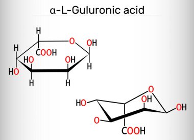 Guluronic asit molekülü. Aljinat, mannuronic asit ve guluronik asitten oluşur. Yapısal kimyasal formül. Vektör illüstrasyonu