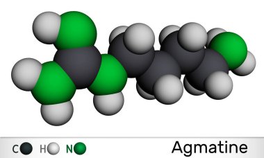 Agmatine molekülü. Bu amino bileşimi, Guanidin üyesi, doğal metabolit Arginine. Moleküler model. 3 boyutlu görüntüleme. Görüntü