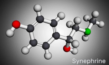 Synephrine, p-synephrine molekülü. Bu fenetilamin alkaloit. Moleküler model. 3 boyutlu görüntüleme. Görüntü