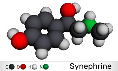 Synephrine, p-synephrine molekülü. Bu fenetilamin alkaloit. Moleküler model. 3 boyutlu görüntüleme. Görüntü