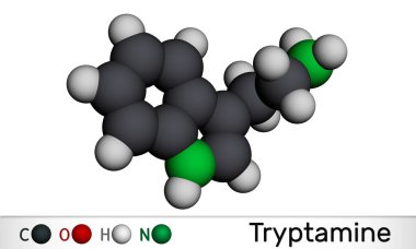 Tryptamine molekülü. Bu aminoalkylindole. Moleküler model. 3 boyutlu görüntüleme. 3B illüstrasyon
