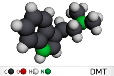 N, N-Dimethyltryptamine, dimethyltryptamine, DMT molekülü. Triptamine alkaloid, indoleamin türevi, serotonerjik halüsinojen. Moleküler model. 3 boyutlu görüntüleme. 3B illüstrasyon