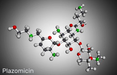 Plazomicin, molekül. İdrar yolu enfeksiyonları veya piyelonefrit için kullanılan aminoglycoside antibiyotiği. Moleküler model. 3 boyutlu görüntüleme. 3B illüstrasyon