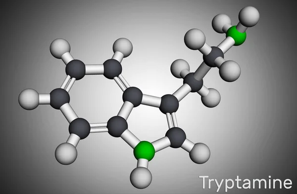 Molécula Triptamina Aminoalquilindole Modelo Molecular Representación Ilustración — Foto de Stock