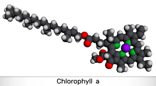 Chlorofyl Chlorofyl Molecuul Het Fotosynthetisch Pigment Dat Wordt Gebruikt Oxygene — Stockfoto