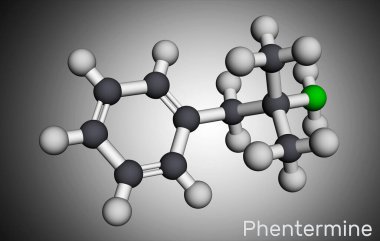 Phentermine, molekül. Bu doğal monoamin alkaloit türevi, iştah kesicili sempatik uyarıcı. Moleküler model. 3 boyutlu görüntüleme. 3B illüstrasyon