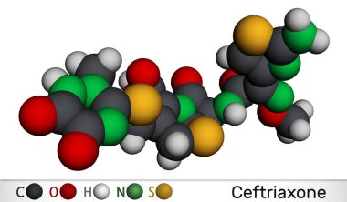Seftriakson molekülü. Geniş spektrumlu üçüncü nesil sefalosporin antibiyotiği. Moleküler model. 3 boyutlu görüntüleme. 3B illüstrasyon