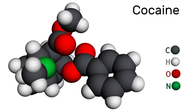 Cocaína Coca Molécula Coca Alcaloide Tropano Con Sistema Nervioso Central — Foto de Stock