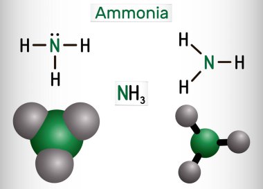 Amonyak, NH3 molekülü. Bu pniktojen hidrattır, tek bir nitrojen atomundan oluşan inorganik bileşiktir, üç hidrojen atomuna kovalent olarak bağlanmıştır. Yapısal formül, molekül modeli. Vektör illüstrasyonu