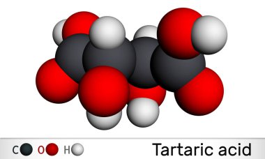 Tartarik asit, dekstrotartarik, levotartarik asit molekülü. Antioksidan E334, üzümlerde, muzlarda, tamarindlerde, narenciyelerde görülür. Moleküler model. 3 boyutlu görüntüleme. 3B illüstrasyon