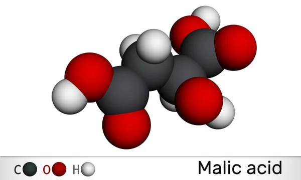 Ácido Málico C4H6O5 Molécula Ácido Dicarboxílico Modelo Molecular Representación Ilustración —  Fotos de Stock