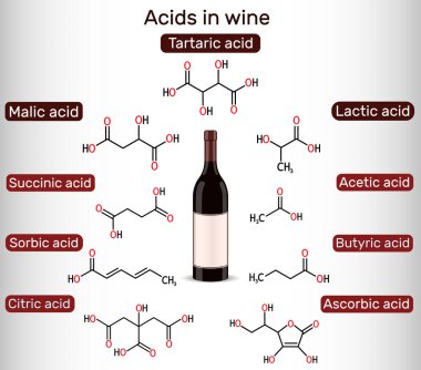 Acids in wine. Tartaric, malic, lactic, citric, acetic, ascorbic, butyric, sorbic, succinic acid. Skeletal chemical formulas. Vector illustration clipart