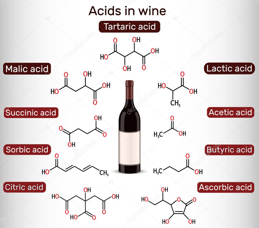 Acids in wine. Tartaric, malic, lactic, citric, acetic, ascorbic, butyric, sorbic, succinic acid. Skeletal chemical formulas. Vector illustration