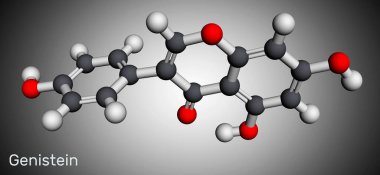 Genistein isoflavone molecule. It is angiogenesis inhibitor, phytoestrogen, isoflavonoid derived from soy products. It has antihelmintic activity. Molecular model. 3D rendering. 3D illustration clipart