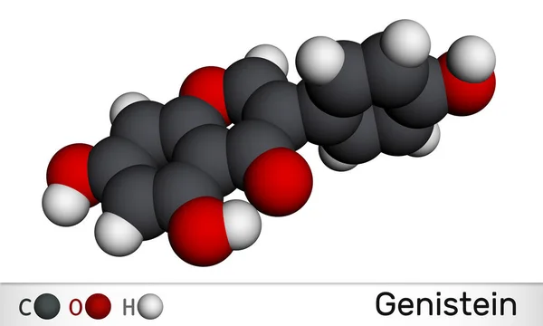 Genistein Isoflavonmolekyl Det Angiogeneshämmare Fytoöstrogen Isoflavonoid Från Sojaprodukter Den Har — Stockfoto
