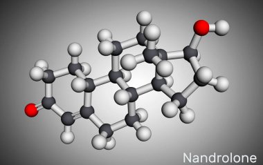 Nandrolon, 19-Nortestosteron, nortestosteron molekülü. Bu androjen, sentetik, anabolik steroid AAS, testosteron analogu. Moleküler model. 3 boyutlu görüntüleme. 3B illüstrasyon