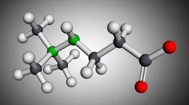 Meldonyum molekülü. Kalp yetmezliği, miyokardiyal enfarktüs, aritmi, atheroskleroz, diyabet tedavisinde kullanılan kardiyopult ilacı. Moleküler model. 3 boyutlu görüntüleme. 3B illüstrasyon
