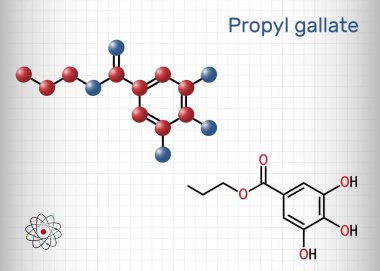 Propil gallat, N-Propil gallat molekülü. Antioksidan, gıda katkı maddesi, E310. Yapısal kimyasal formül ve molekül modeli. Kafesteki bir kağıt parçası. Vektör illüstrasyonu