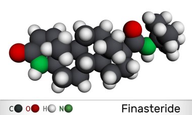 Finasteride molekülü. İyi huylu protez hipertrofi ve erkek kelliğinin semptomlarını tedavi etmek için kullanılır. Moleküler model. 3 boyutlu görüntüleme. Görüntü