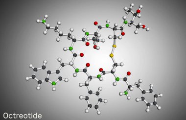 Oktreotid molekülü. Okteptid, sentetik somatostatin analogu büyüme hormonu, glukagon ve insülin inhibitörü. Moleküler model. 3 boyutlu görüntüleme. Görüntü