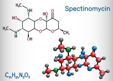 Spektinomisin molekülü. Pyranobenzodioxin, aminocyclitol aminoglycoside antibiyotiği. Belsoğukluğu tedavisinde kullanılır. Yapısal kimyasal formül ve molekül modeli. Vektör illüstrasyonu