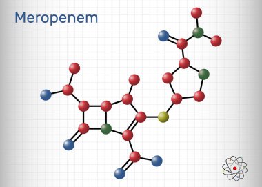 Meropenem molekülü. Geniş spektrumlu bir karbapenem antibiyotiği. Kafesteki bir kağıt parçası. Vektör illüstrasyonu