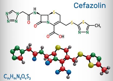 Cefazolin, sefazoline, cephazolin molekülü. Beta-laktam antibiyotik, ilk nesil sefalosporin. Yapısal kimyasal formül ve molekül modeli. Vektör illüstrasyonu