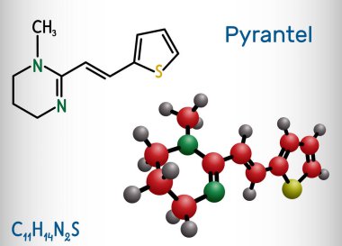 Pyrantel molekülü. Bağırsak kurtçuğu ve yuvarlak kurtçuklar gibi bağırsak nematodlarının tedavisi için kullanılan pirimidin türevli antinematodal ilaçtır. Vektör illüstrasyonu