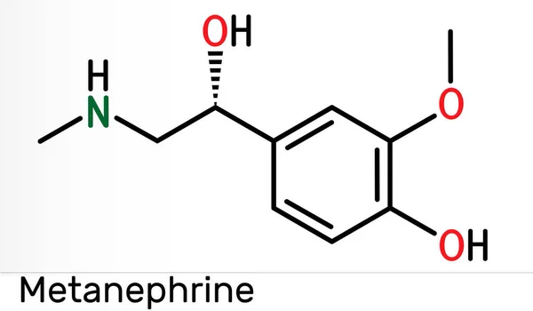 Molécula Metanefrina Metabolito Epinefrina Adrenalina Biomarcador Del Feocromocitoma Fórmula Química — Foto de Stock
