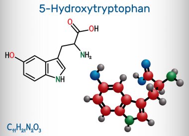 5-Hidroksitriptofan, 5-HTP, hidroksitriptofan, oksitriptan molekül. Doğal olarak oluşan amino asit, triptofan türevi. Yapısal kimyasal formül ve molekül modeli. Vektör illüstrasyonu