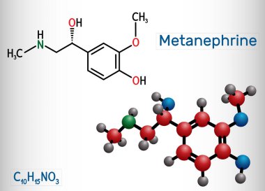 Metanefrin molekülü. Epinefrin, adrenalin ve feokromositom için biyoişaret. Yapısal kimyasal formül ve molekül modeli. Vektör illüstrasyonu