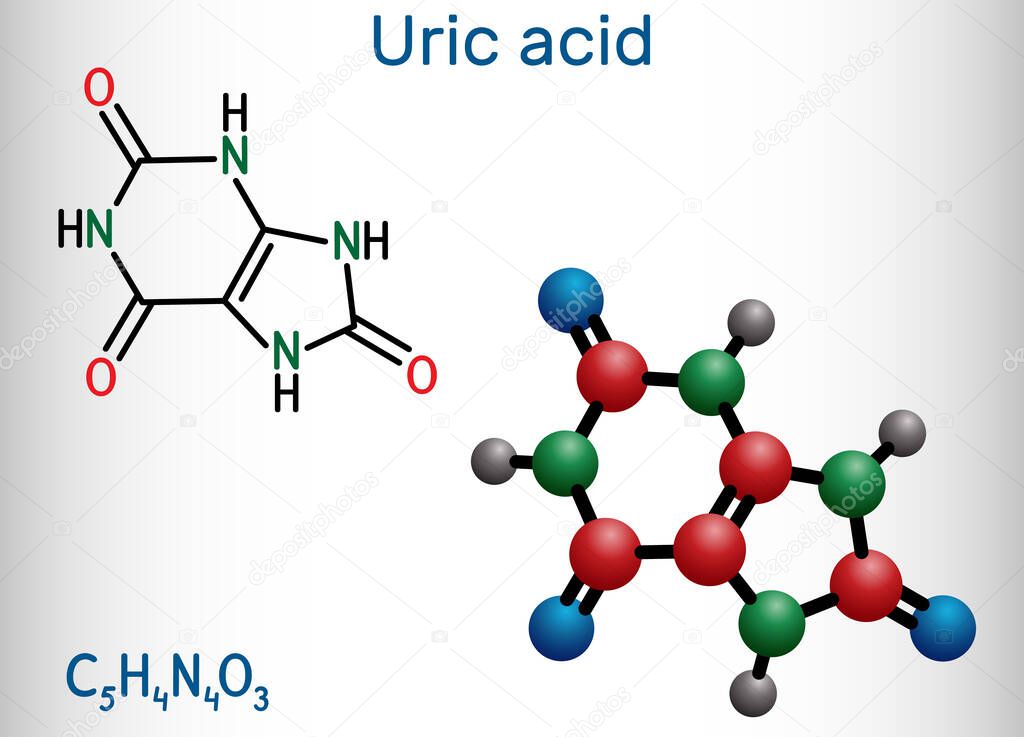 Uric acid molecule. It is heterocyclic compound, crystalline product of protein metabolism, found in the blood and urine. Structural chemical formula and molecule model. Vector illustration