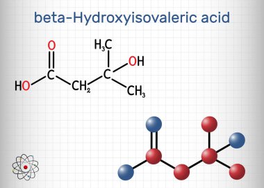Beta-hidroksi beta-metilbürik asit, HMB, beta-hidroksiizovalerik asit molekülü. Biyotin eksikliğinin, lökosin metabolitinin bir göstergesi. Kafesteki bir kağıt parçası. Vektör illüstrasyonu