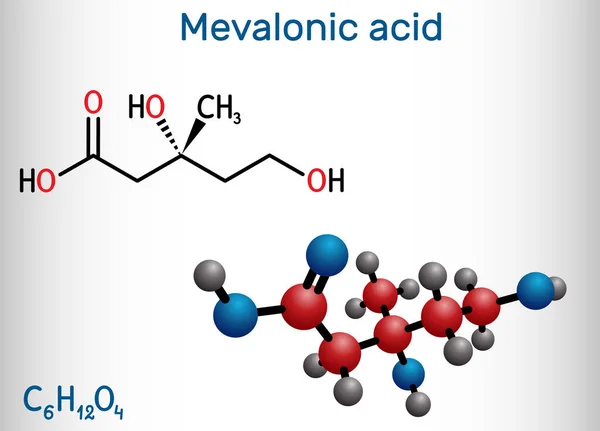 Mevalonic Asit Mva Mevalonic Asit Molekülü Mevalonat Yolunun Öncüsüdür Karboksilat — Stok Vektör