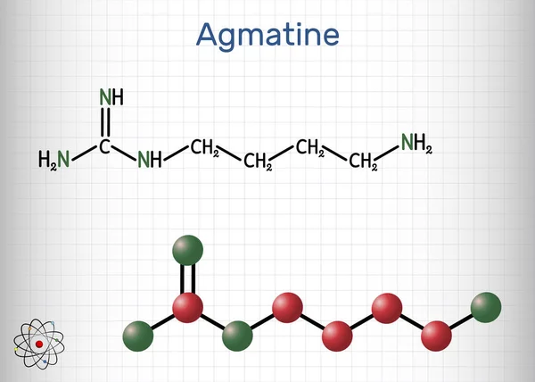 Molécula Agmatina Compuesto Amino Miembro Guanidinas Metabolito Natural Arginina Hoja — Vector de stock