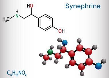 Synephrine, p-synephrine molekülü. Bu fenetilamin alkaloit. Yapısal kimyasal formül ve molekül modeli. Vektör illüstrasyonu