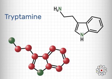 Tryptamine molekülü. Bu alkaloit, aminoalkylindole. Yapısal kimyasal formül ve molekül modeli. Kafesteki bir kağıt parçası. Vektör illüstrasyonu